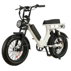 20 inch ebike fat tire 1000W powerful rear hub motor ebike 48V high performance loading capacity electric bike with LCD panel