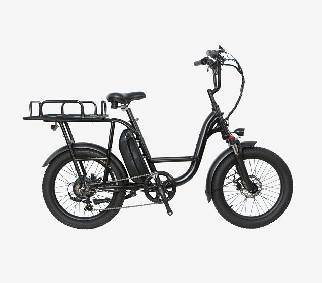 20 inch ebike fat tire 1000W powerful rear hub motor ebike 48V high performance loading capacity electric bike with LCD panel