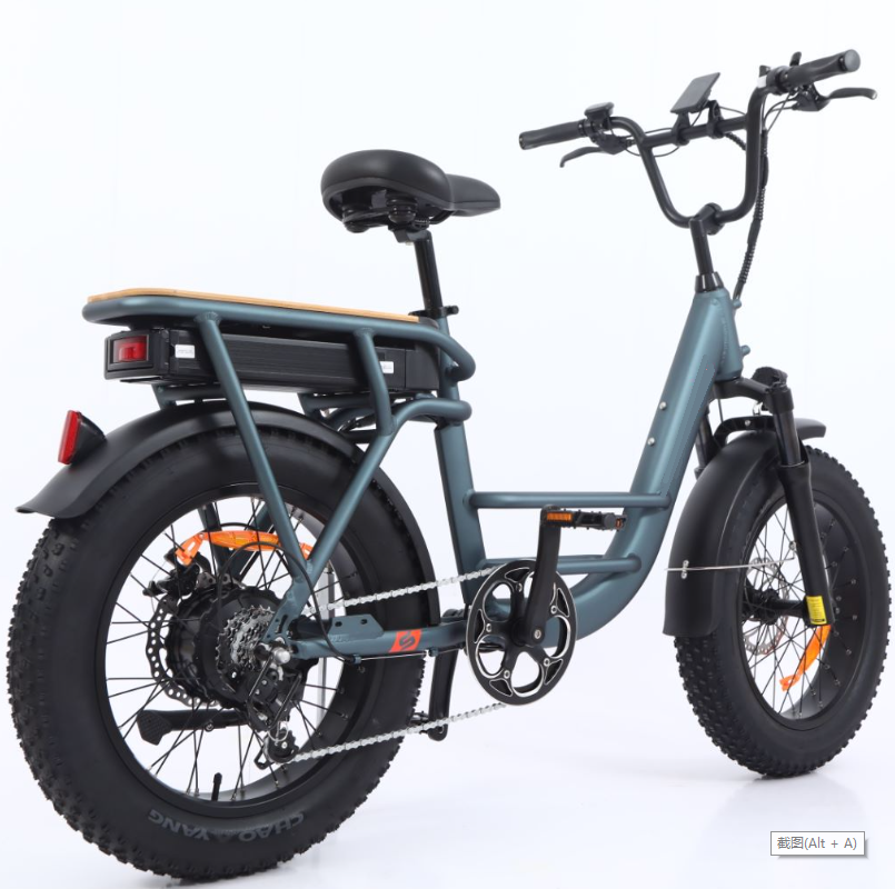 20 inch ebike fat tire 1000W powerful rear hub motor ebike 48V high performance loading capacity electric bike with LCD panel