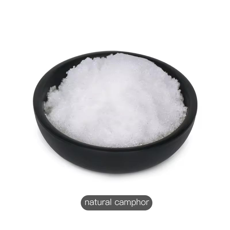 factory direct sale 76-22-2 natural fragrance Camphor Powder Synthetic Powder cheap and fine