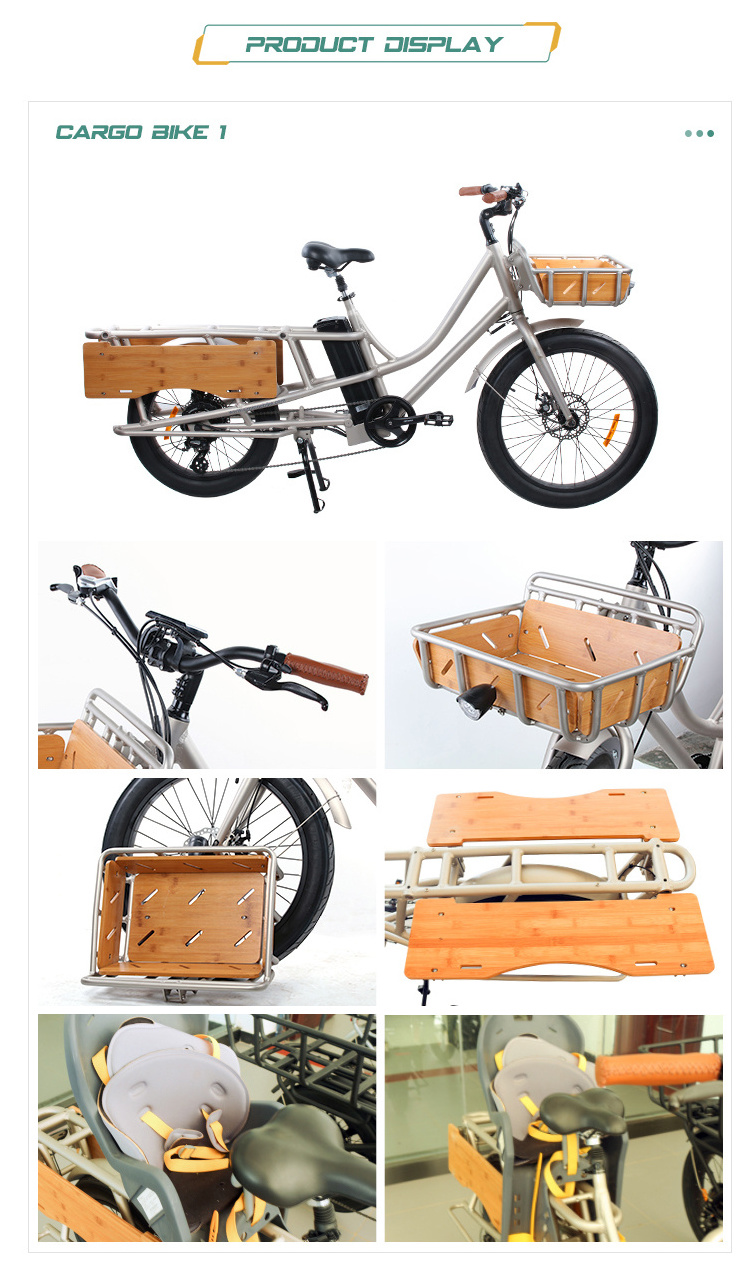 2019 New design 24'' electric delivery bike 2 wheel cargo bikedelivery bicycle for sale