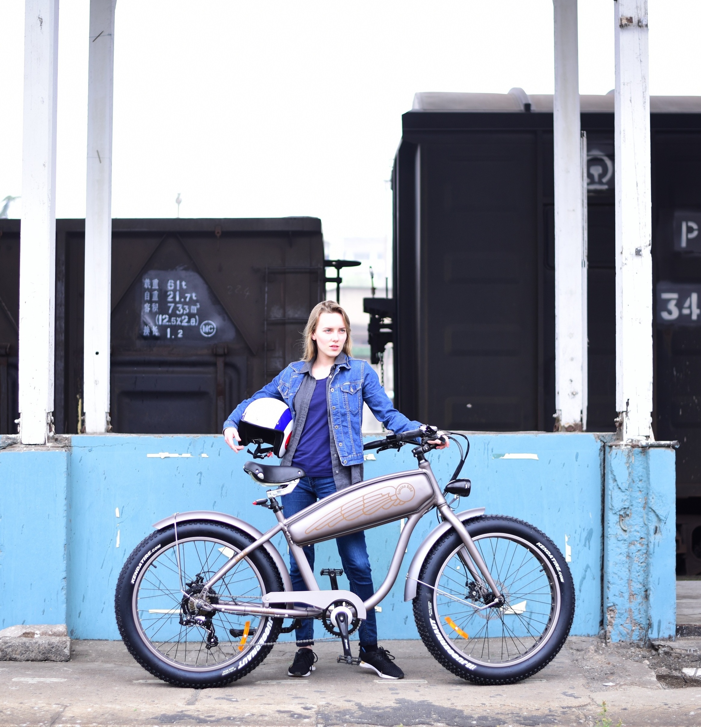 Vintage Push Bike Alloy Frame Fat Tire Bike Beach Ebike 26 Inch Electric Cruiser Bicycle For Sale 48v 750w Snow Fatbike