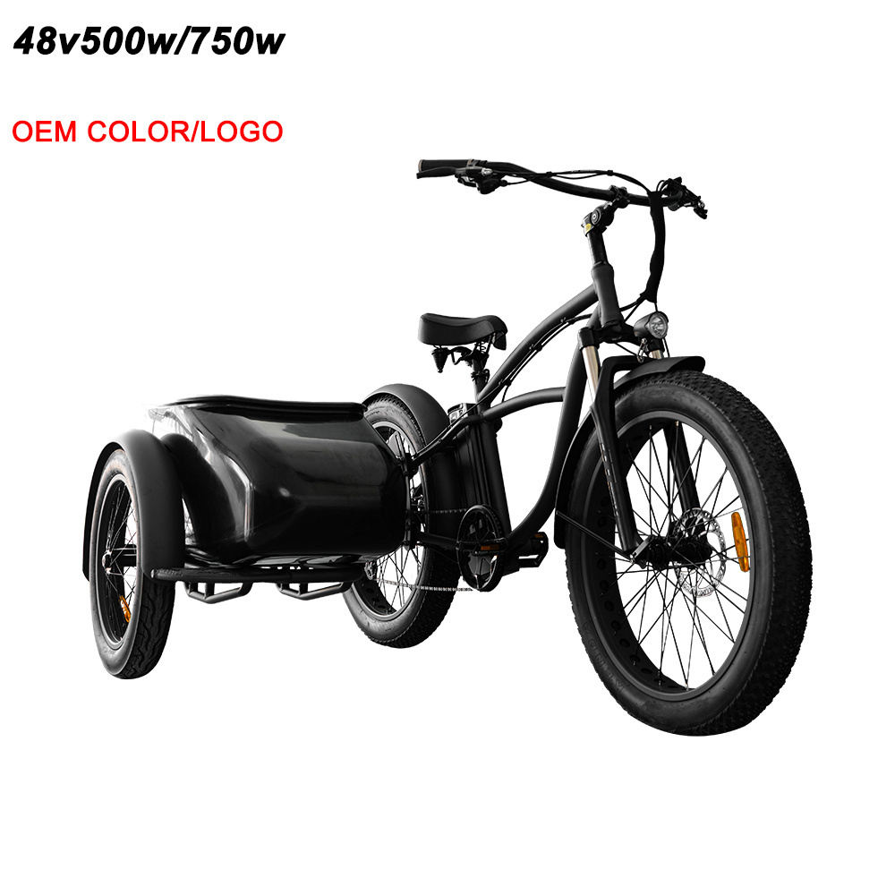 3 wheel electric bicycle cargo bike trike with fat tire retro sidecar vintage old ebike