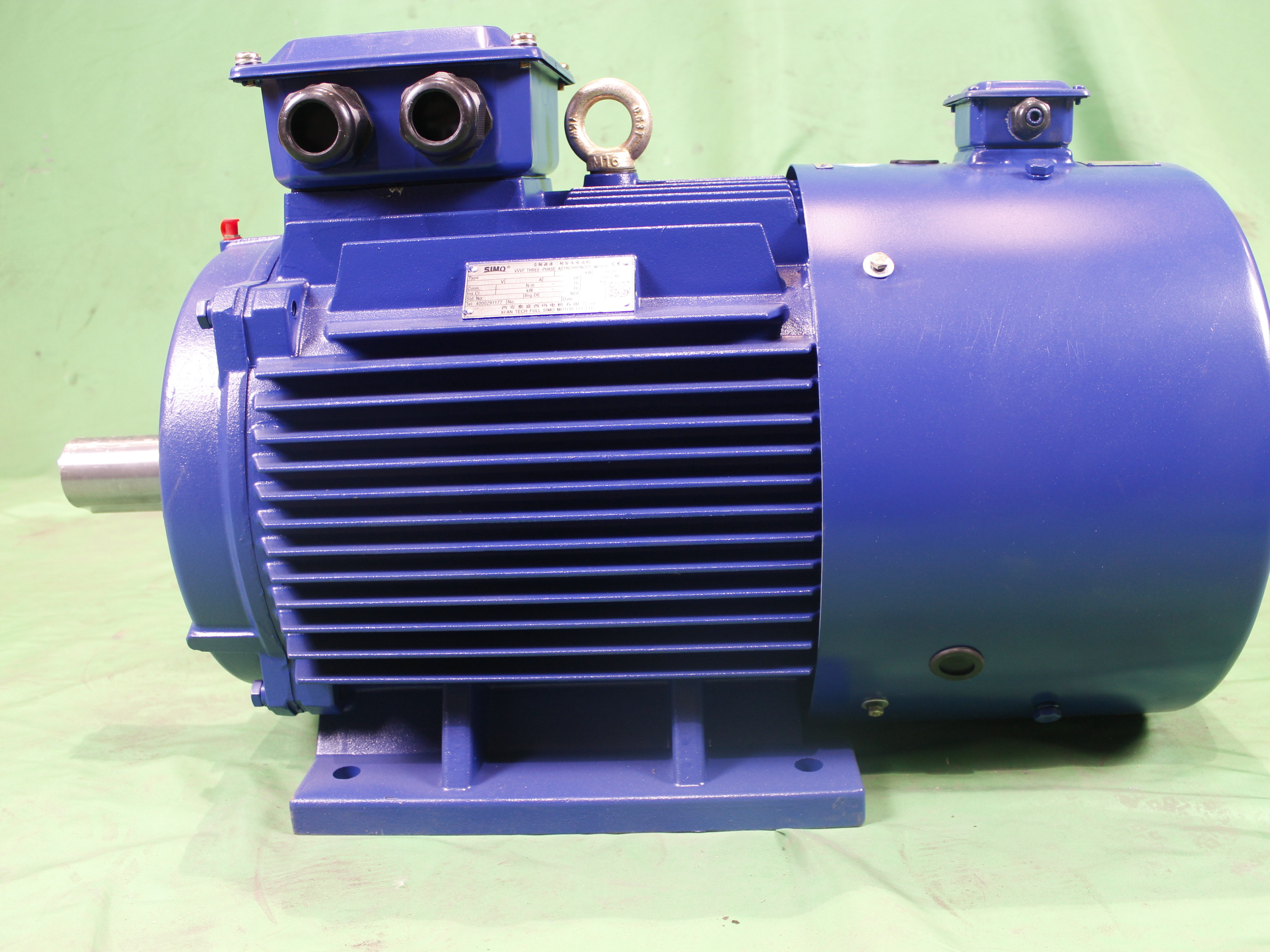 YVFE2 250M-2/4/6/8 Series High Efficiency Frequency conversion Ac Induction Electric Motor