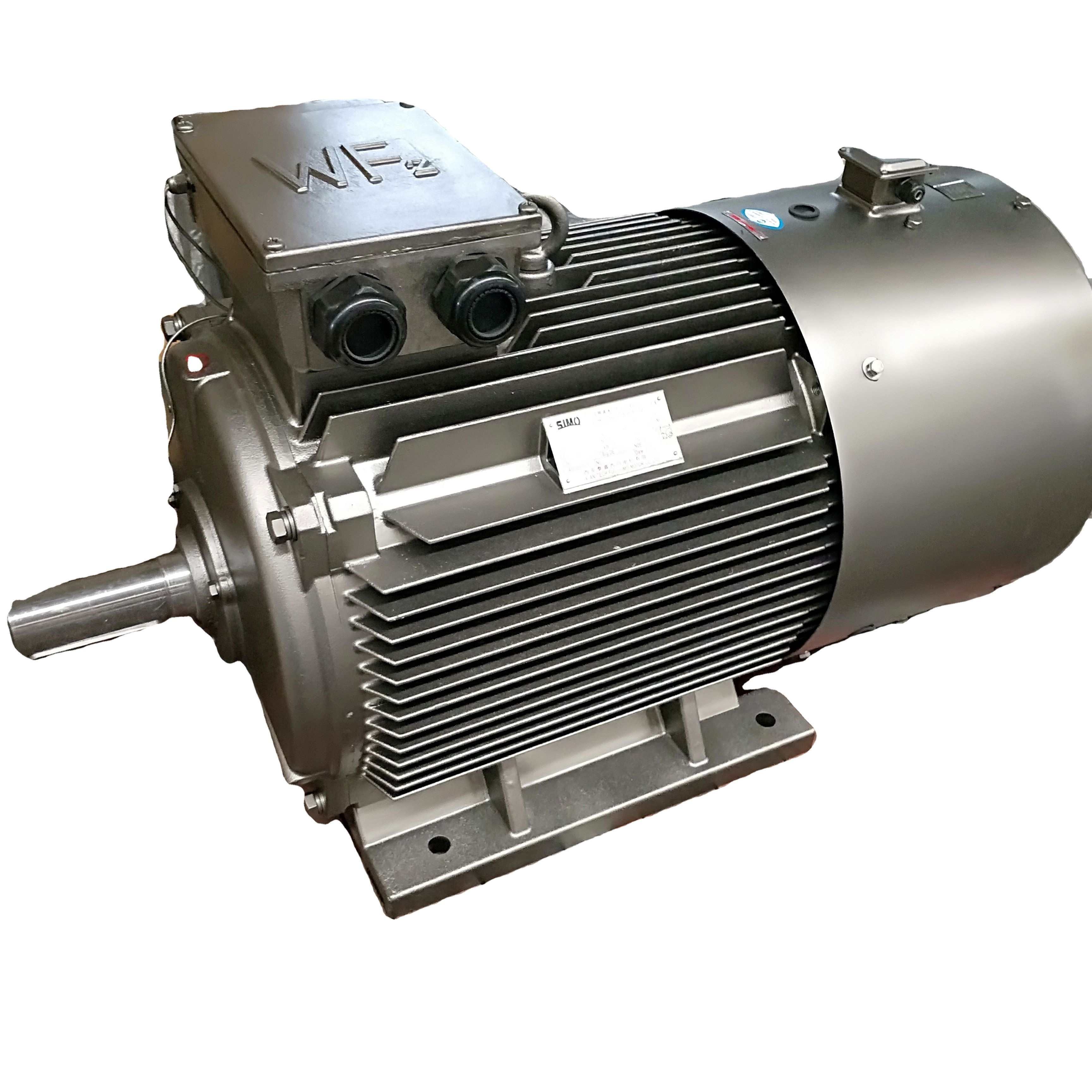 Energy Saving Good Speed Regulating Performance YVFE5 55KW Asynchronous Motor