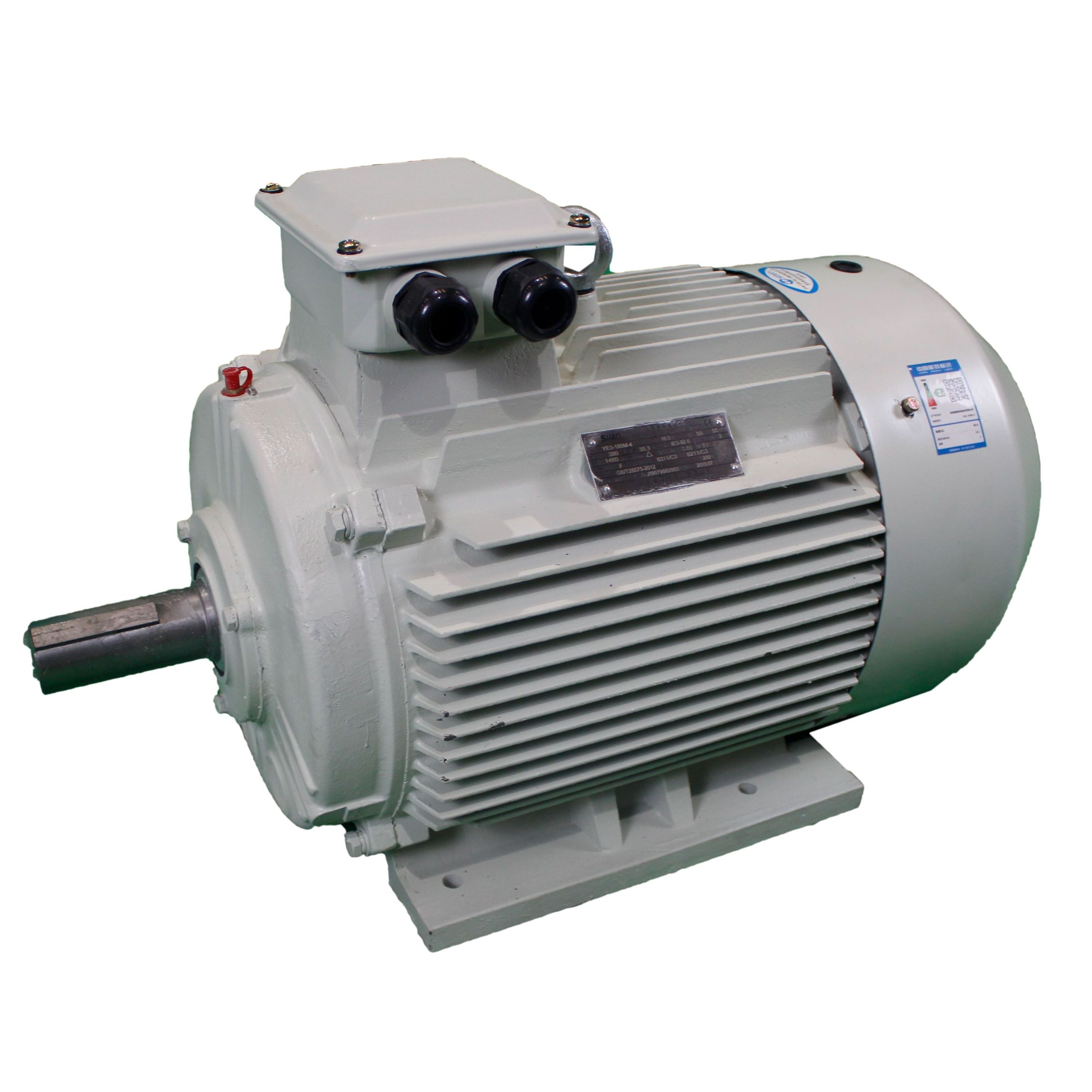 3 Phase 4 Pole Low Voltage AC Induction Motor