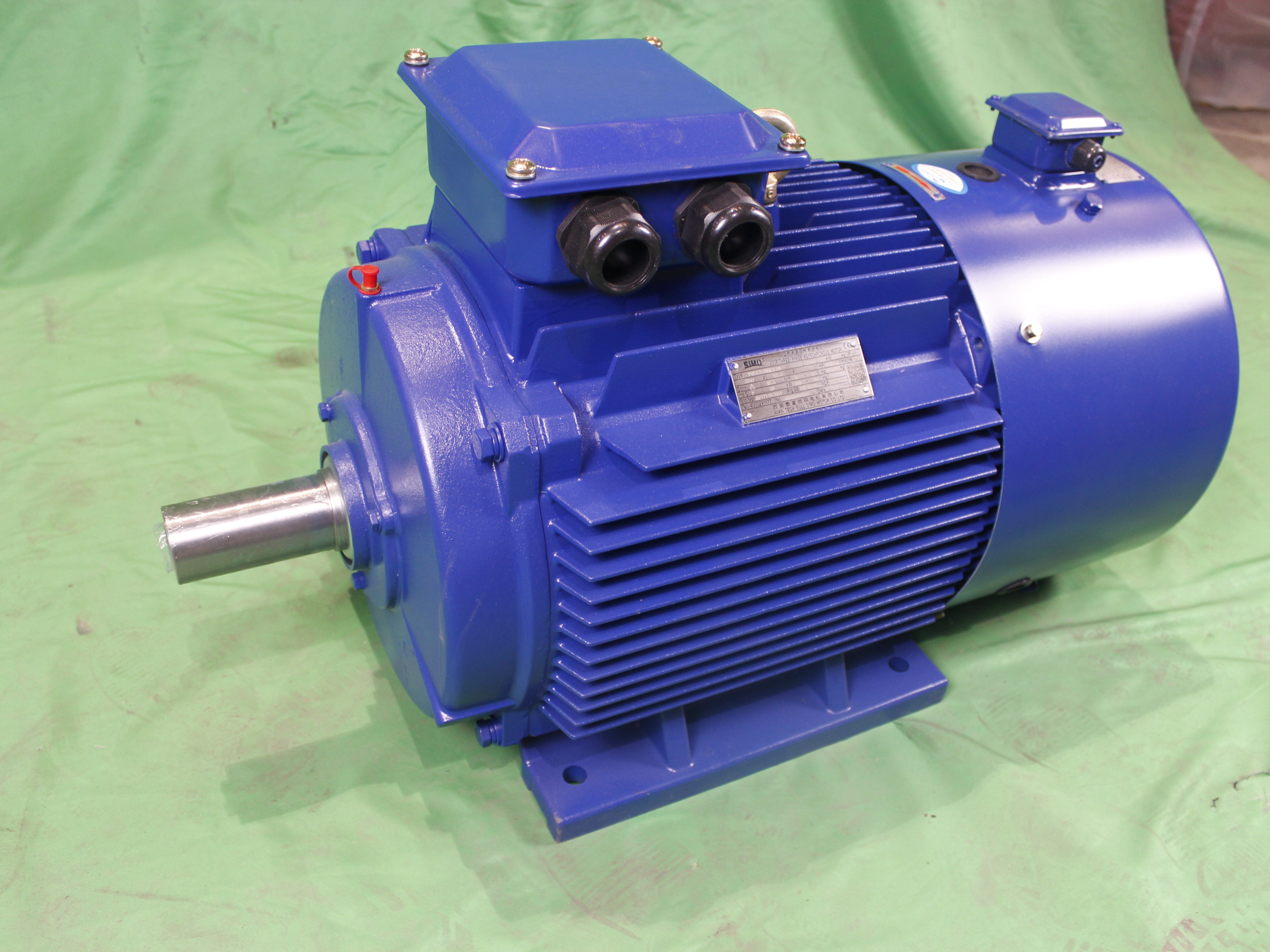 YVFE2 250M-2/4/6/8 Series High Efficiency Frequency conversion Ac Induction Electric Motor