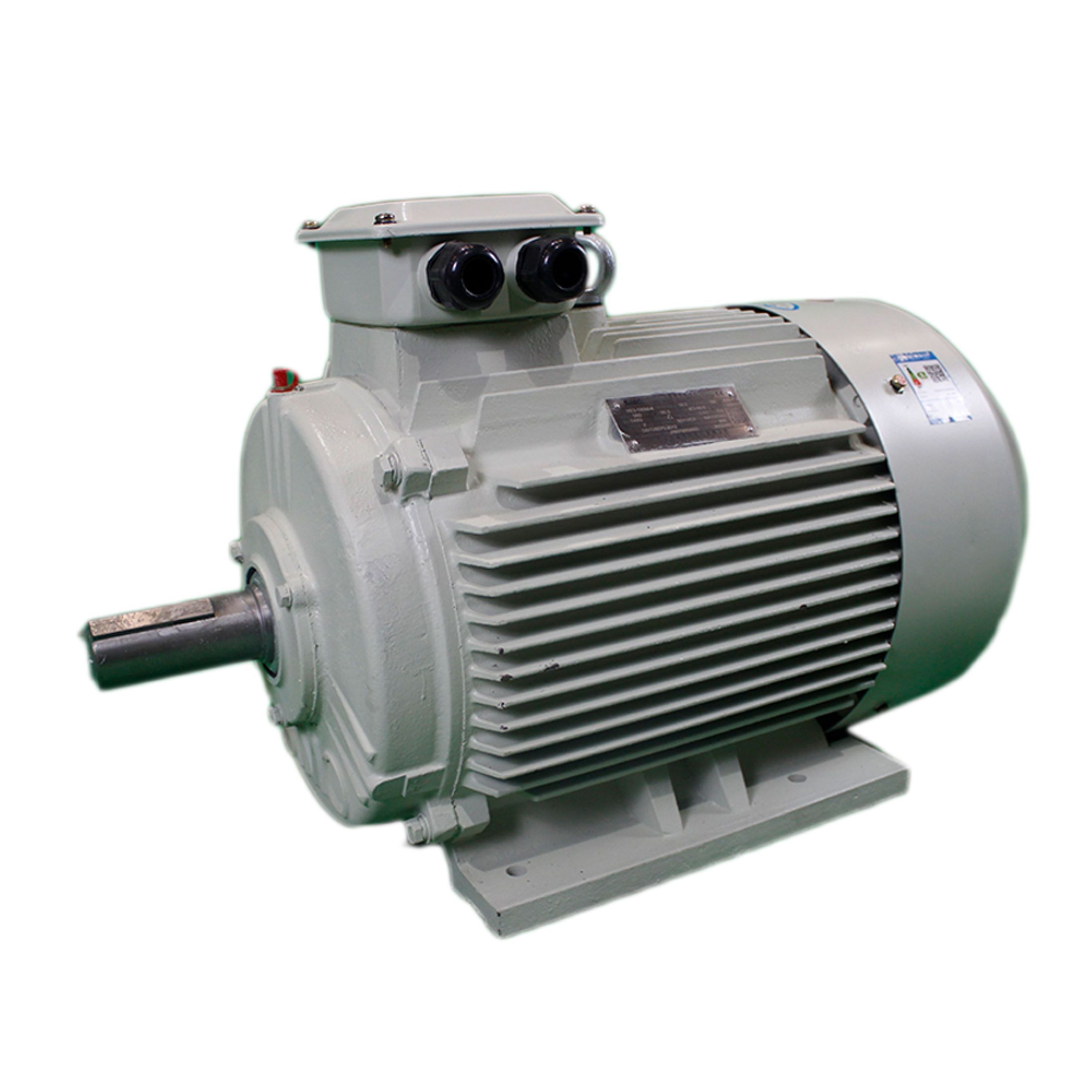 3 Phase 4 Pole Low Voltage AC Induction Motor