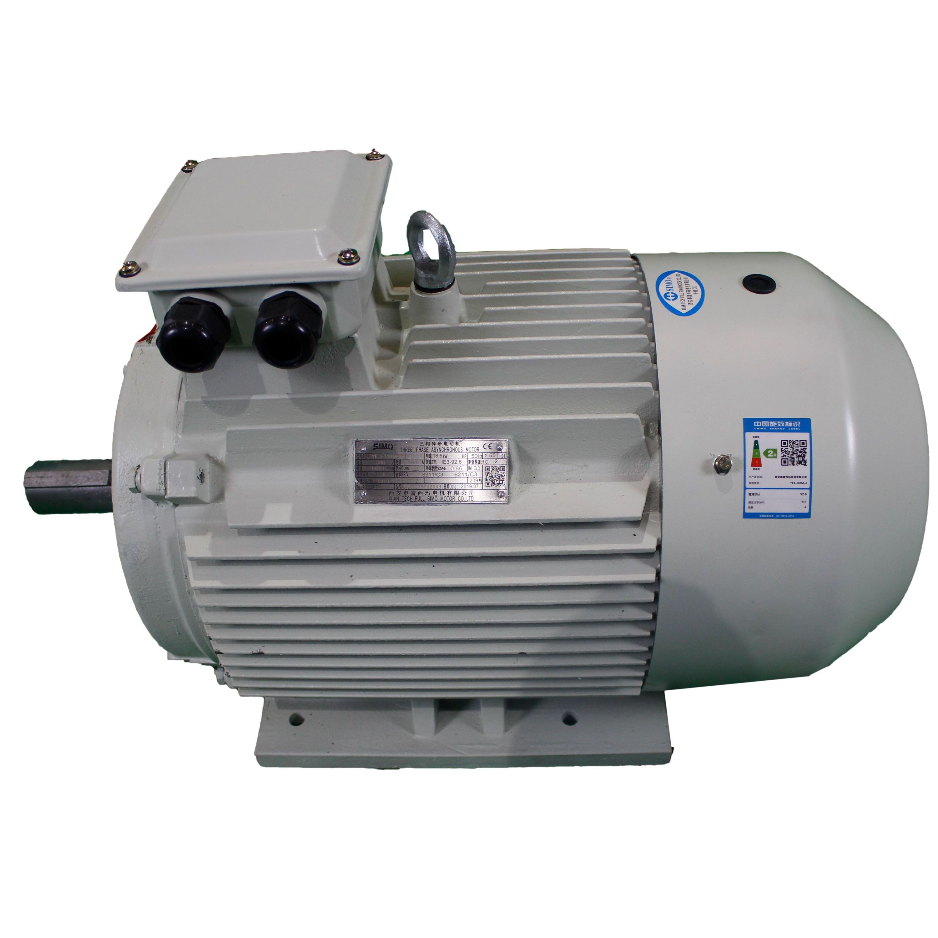 3 Phase 4 Pole Low Voltage AC Induction Motor