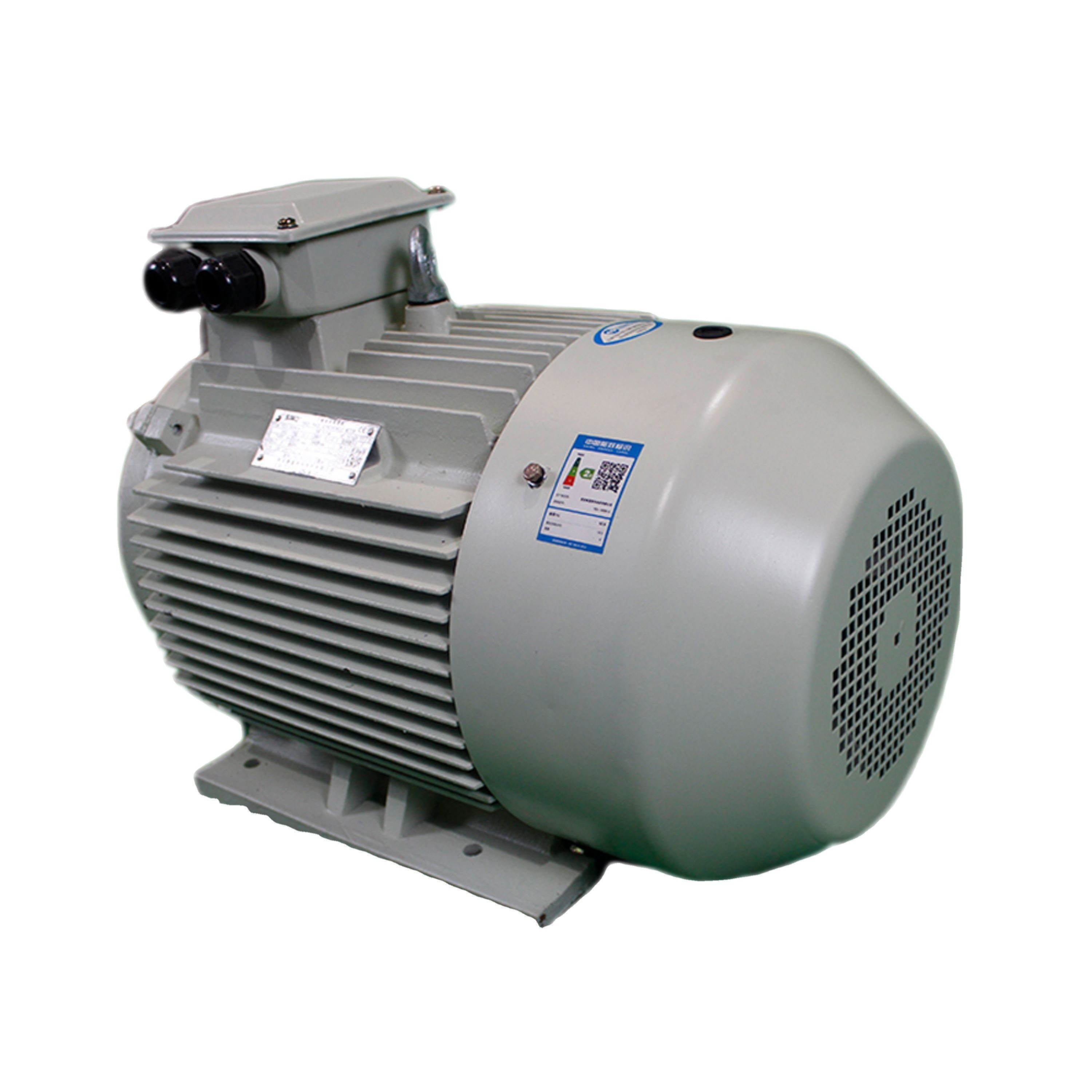 3 Phase 4 Pole Low Voltage AC Induction Motor