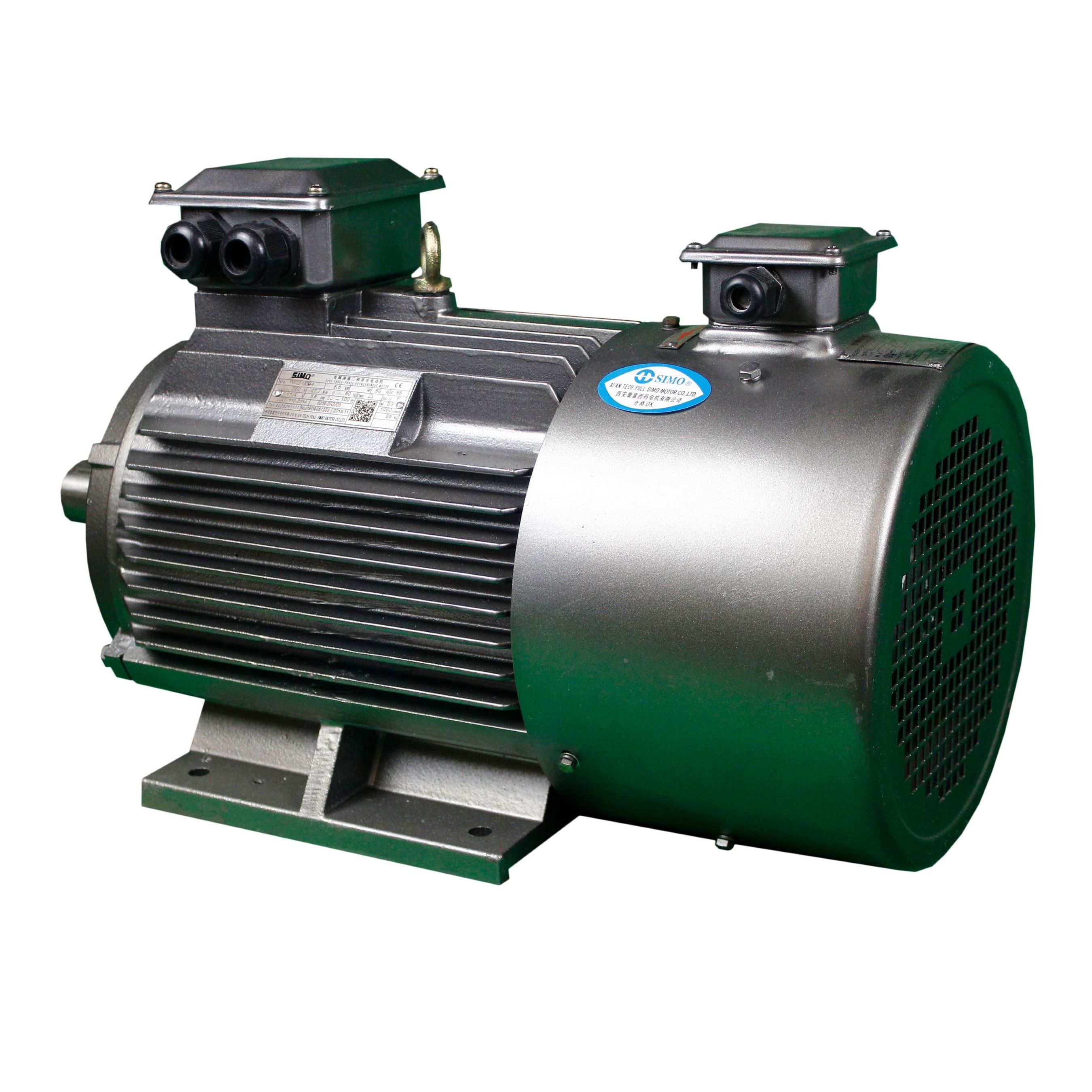 50HZ Totally Enclosed Low Voltage 3 Phase AC Asynchronous Motor