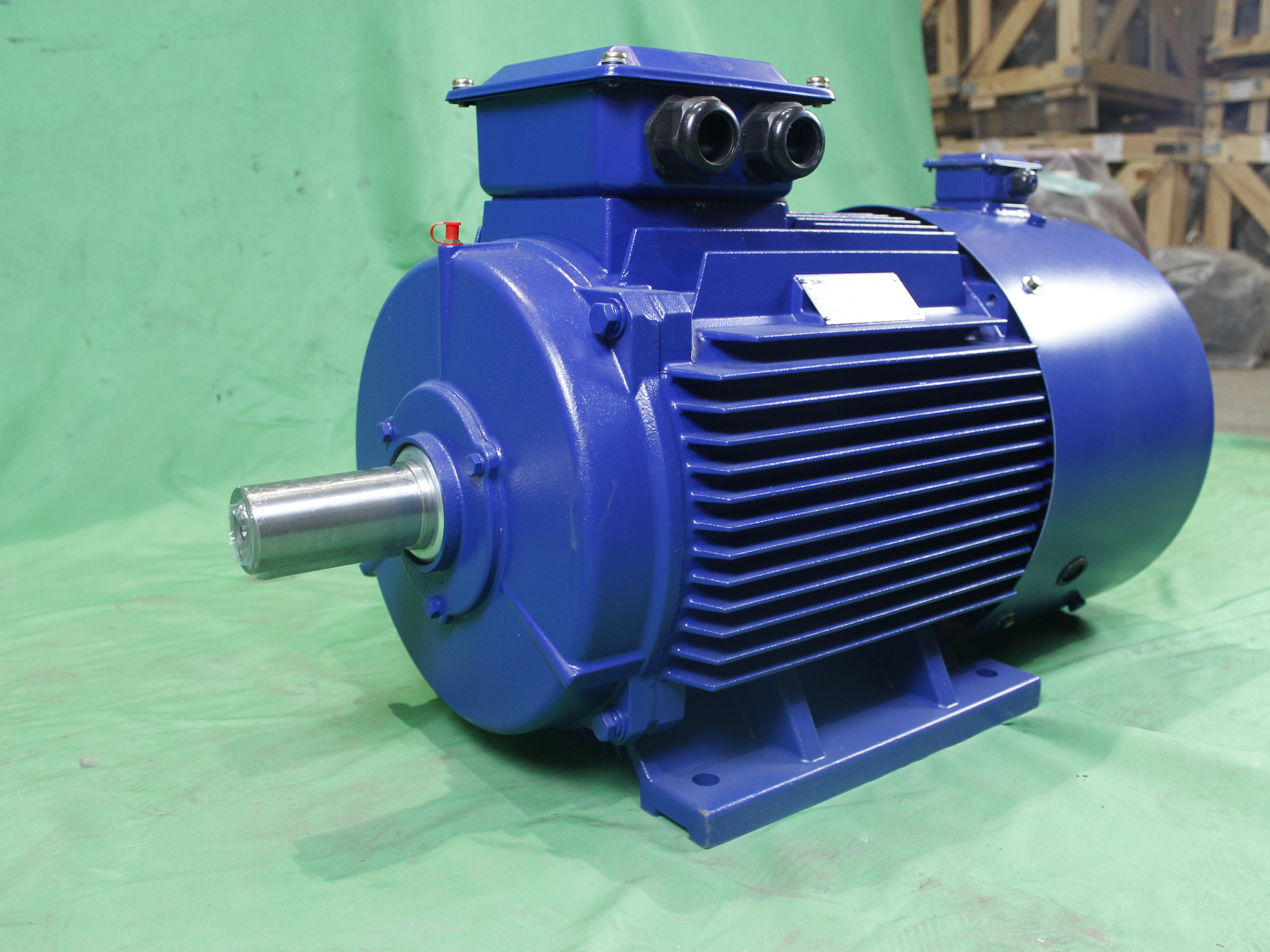 YVFE2 250M-2/4/6/8 Series High Efficiency Frequency conversion Ac Induction Electric Motor