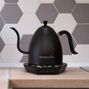 Brewista 0.6l double temperature control stainless steel electric pour over gooseneck strix kettle for coffee