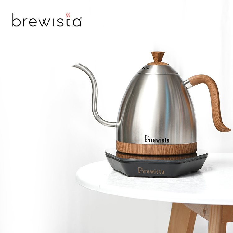 wholesale Brewista 600ml electric kettle gooseneck with temperature control