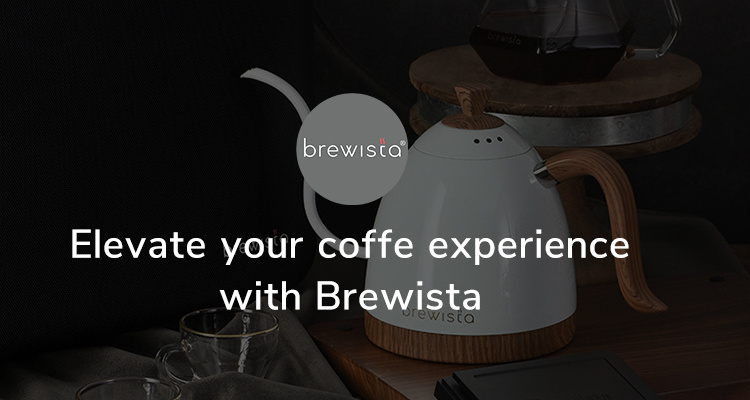 wholesale Brewista 600ml electric kettle gooseneck with temperature control