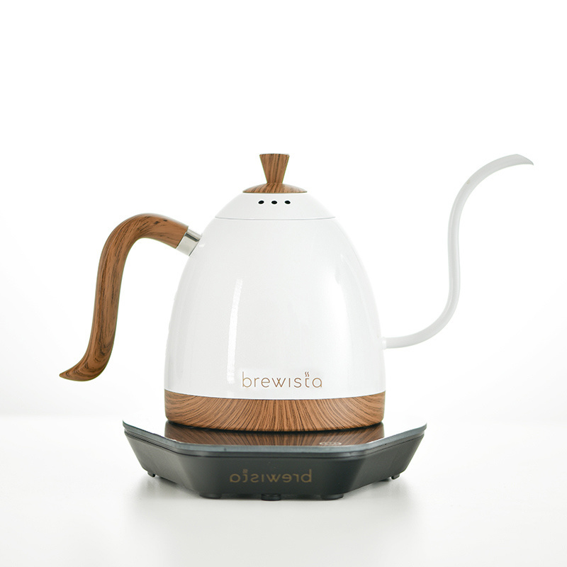 wholesale Brewista 600ml electric kettle gooseneck with temperature control