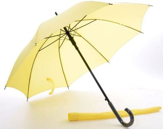 Hot Design Stylish Long Umbrella 24 inches Non UV Coated Auto Open With Sleeve Umbrella With Hook Handle