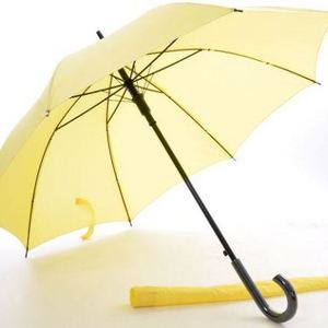 Hot Design Stylish Long Umbrella 24 inches Non UV Coated Auto Open With Sleeve Umbrella With Hook Handle