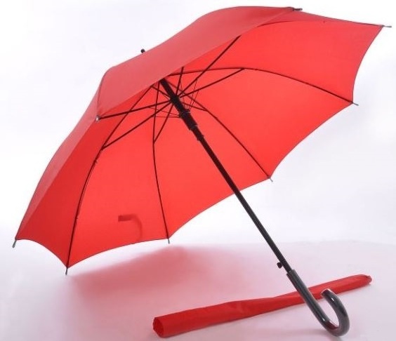 Hot Design Stylish Long Umbrella 24 inches Non UV Coated Auto Open With Sleeve Umbrella With Hook Handle