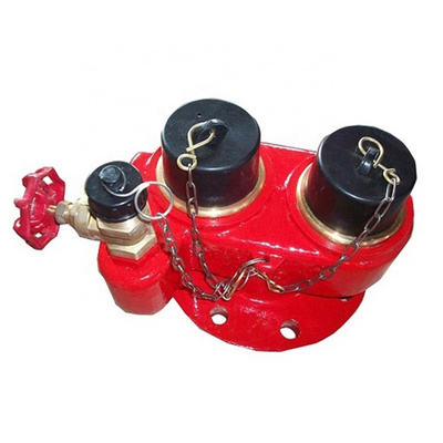 Fire hydrant 2.5inch BS336 2 way fire breeching inlet water landing valve