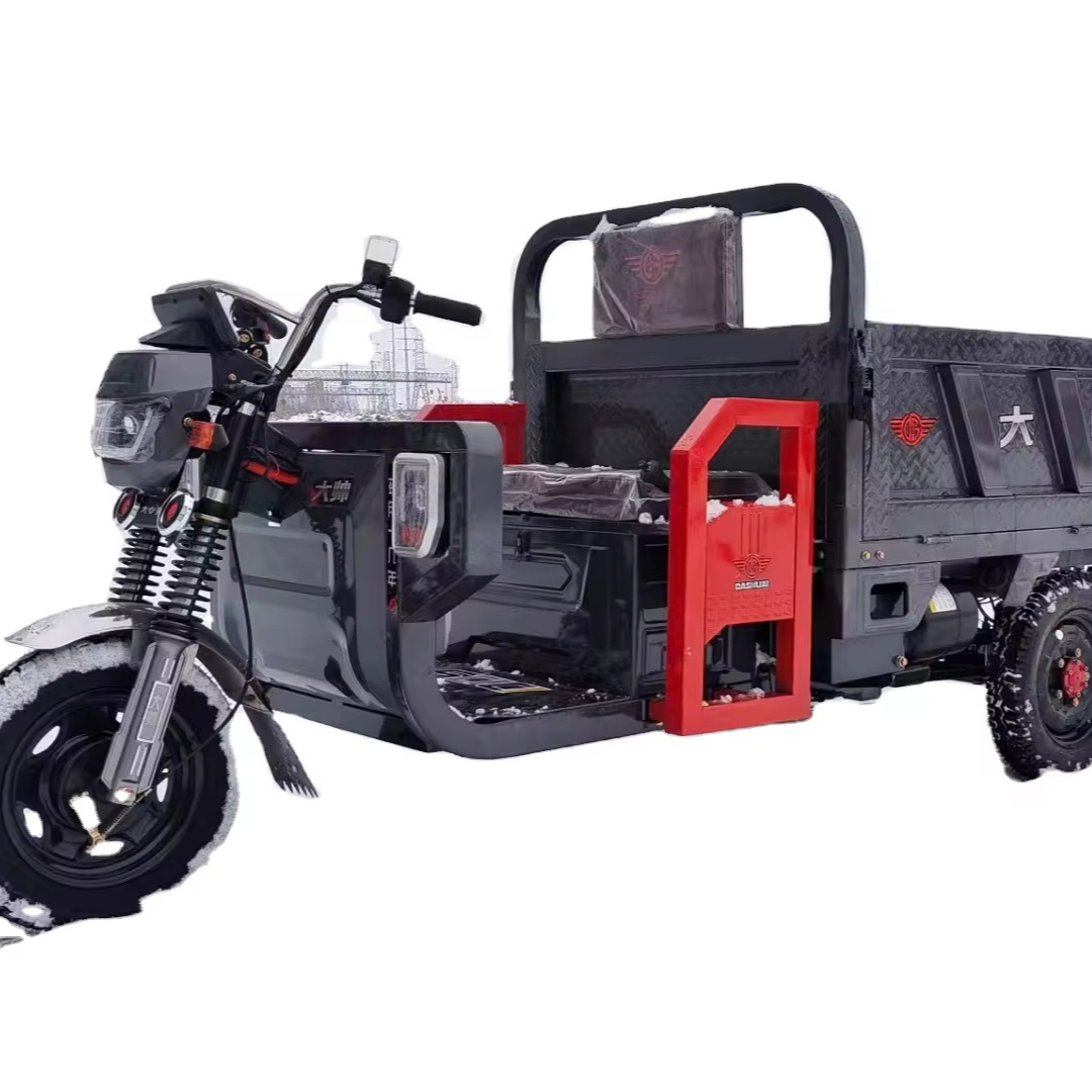 Small Mini Value Tricycles Fat Motorcycle Reverse Rickshaw Electric Tricycle Bike