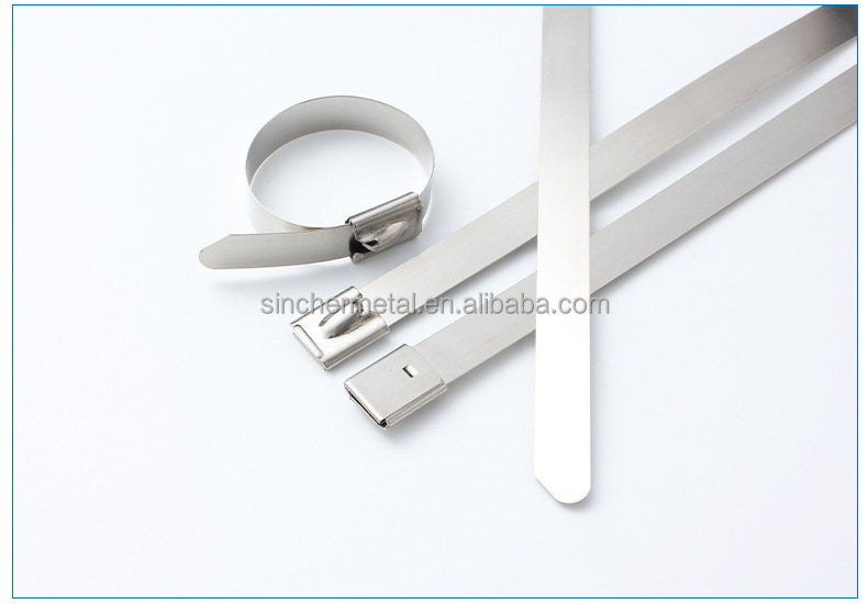 Metal Stainless Steel Pole Band Strap / Fleje de Acero Inoxidable