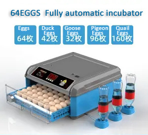 Quail  Egg Incubator Reviews  For Wholesales