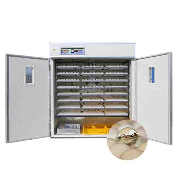 Flexzion Egg Incubator Cabinet for Chicken - Digital Mini Fully Poultry 112 Egg Hatcher Brooder Machine thermostat