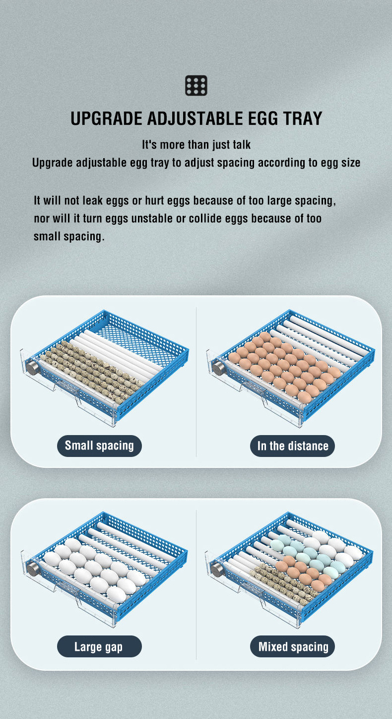 Turkey  Egg Incubator For Finches  For Wholesales