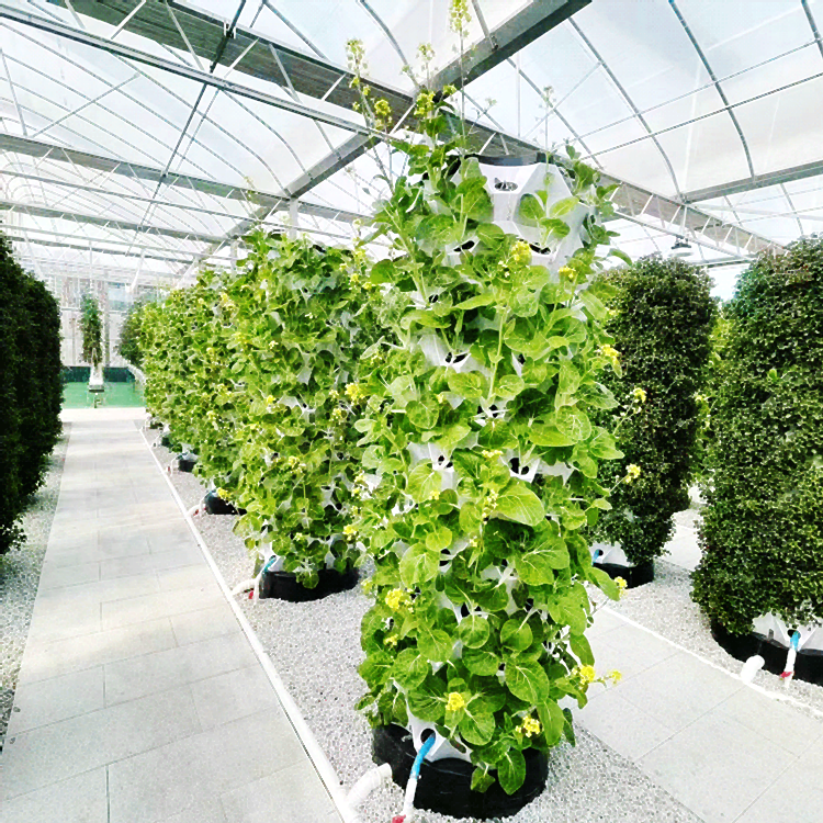 Innovative Hydroponic Solutions Hydroponic System Indoor Commercial