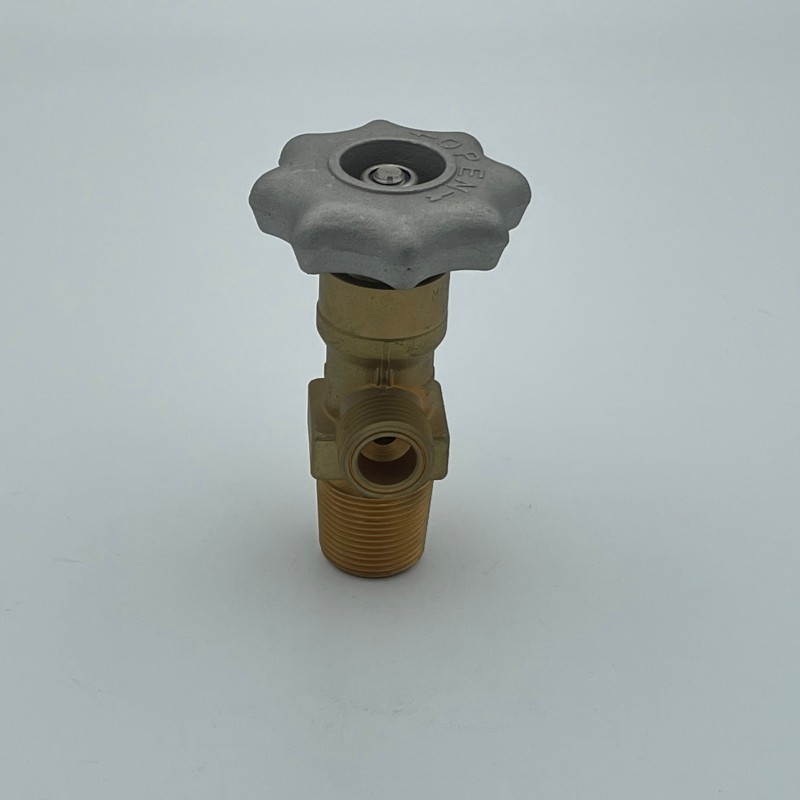 2023 High Pressure CO2 Gas Cylinder Handweel Valve Thread W21.8