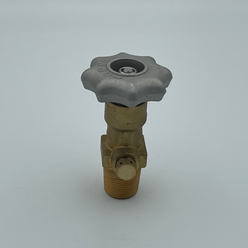 2023 High Pressure CO2 Gas Cylinder Handweel Valve Thread W21.8