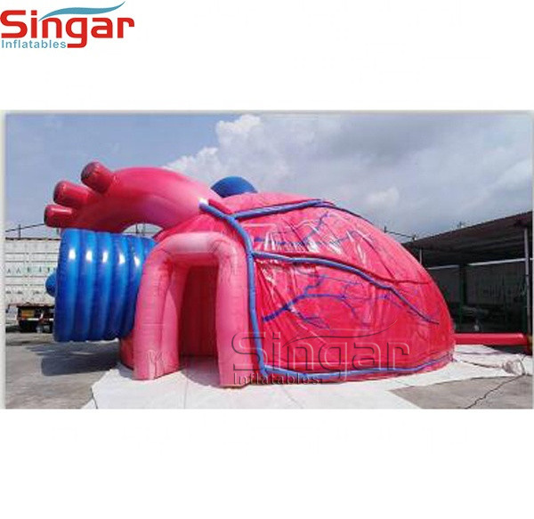 Giant inflatable medical heart model for science