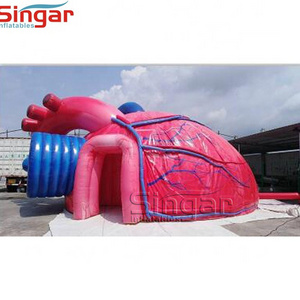 Giant inflatable medical heart model for science