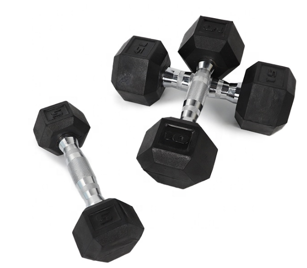 Wholesale 5 10 15 20 25 30LB Dumbbell Weight Lifting Sports Fixed Round Head Rubber Coated Dumbbells