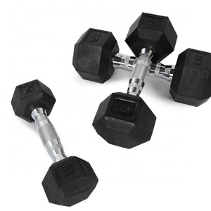 Wholesale 5 10 15 20 25 30LB Dumbbell Weight Lifting Sports Fixed Round Head Rubber Coated Dumbbells