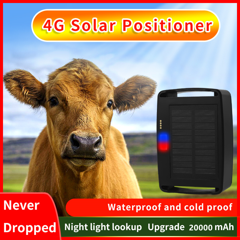 4G GPS Tracker For Cow Cattle Sheep Dog Cat Pet Animal Long Standby Time GPS Tracking Precise GPS + LBS + WiFi Positioning