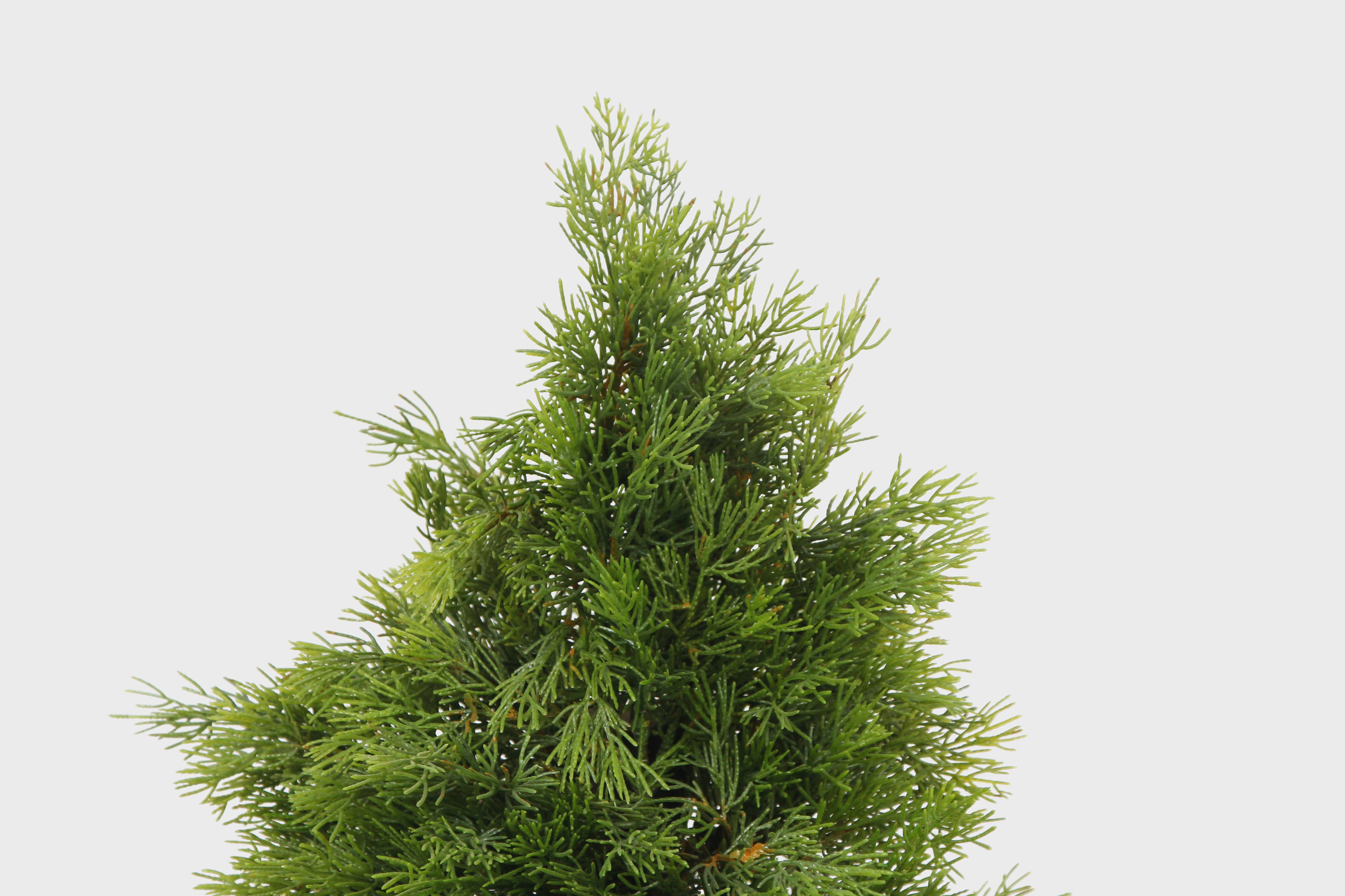 2024  High quality Professional Artificial Plante 60cm 13 Branches dense Christmas tree bonsai Plants