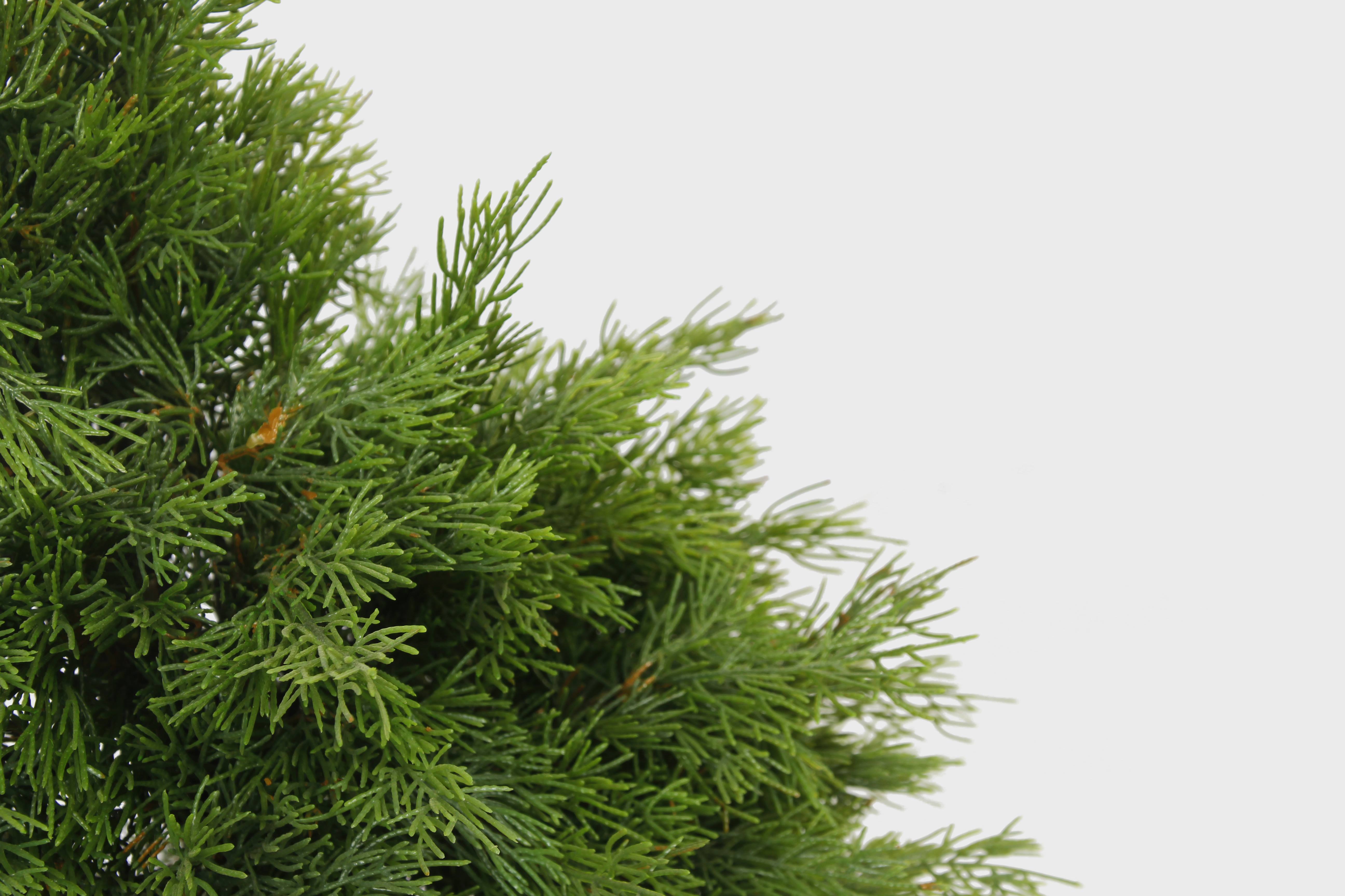 2024  High quality Professional Artificial Plante 60cm 13 Branches dense Christmas tree bonsai Plants