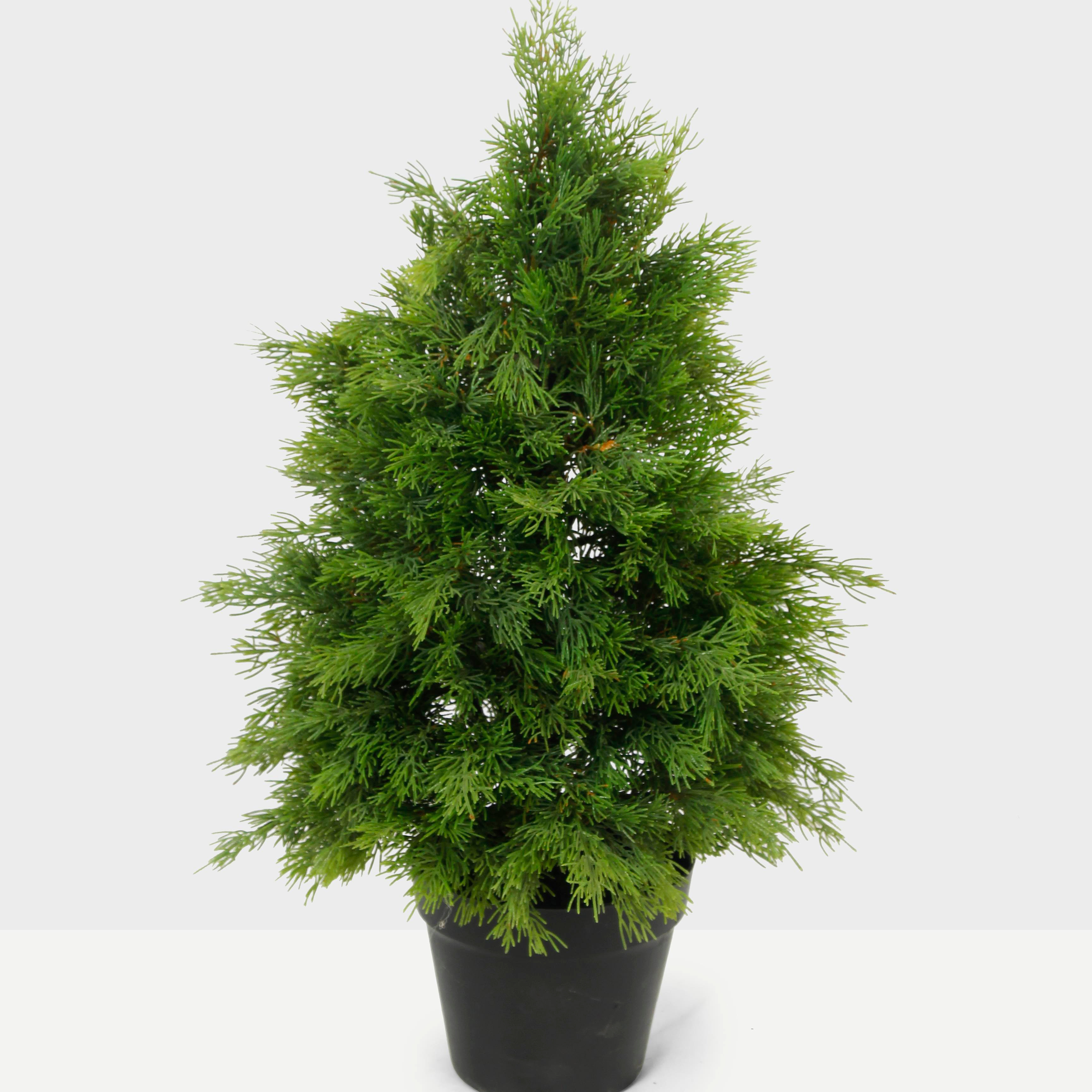 2024  High quality Professional Artificial Plante 60cm 13 Branches dense Christmas tree bonsai Plants