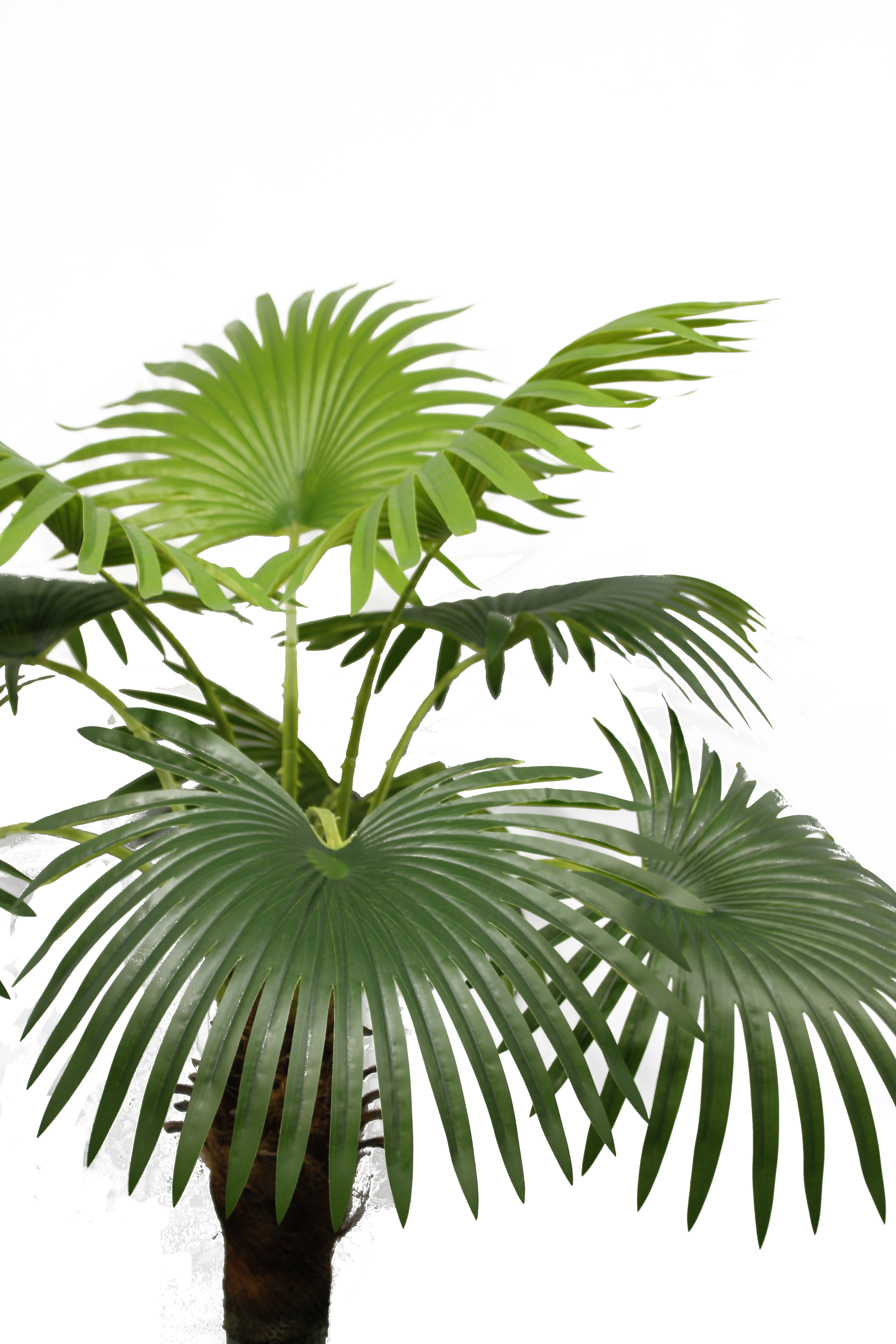 Simulation Factory Artificial Plants 160CM 9 Leaves Fan Palm With Pot Decorative for Indoor Home Outdoor