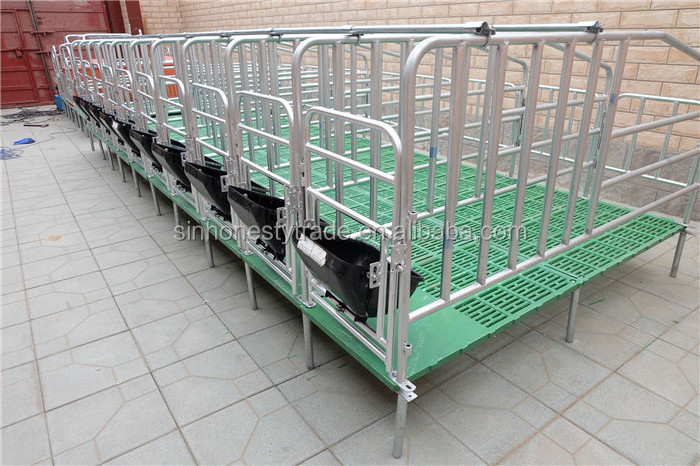 China Factory Pig Cage Pig Gestation Stalls