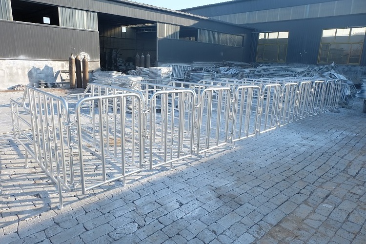 Customized pig breeding equipment gestation cage for sale