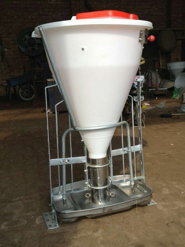 Pig farming equipments automatic dry wet feeders for pigs