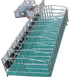 China Factory Pig Cage Pig Gestation Stalls