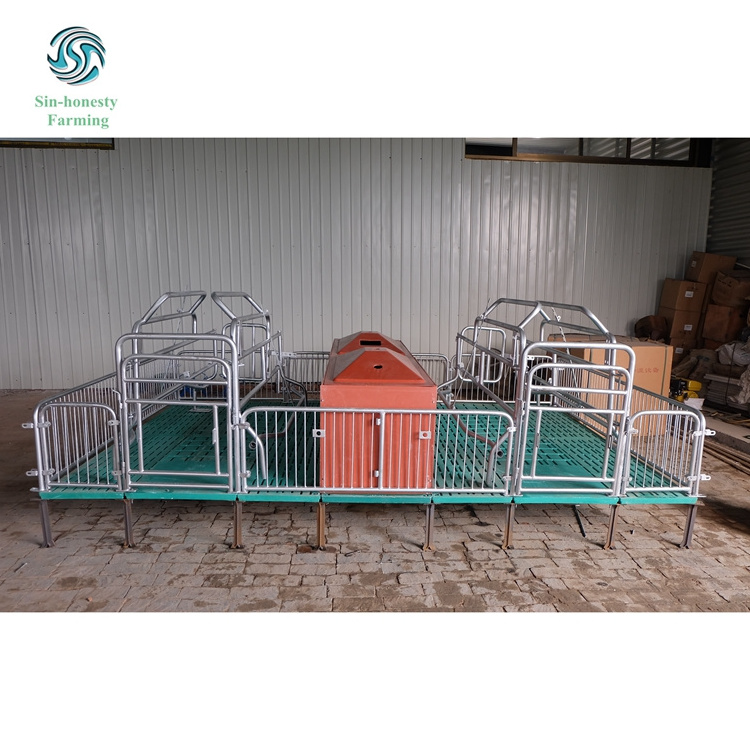 Pig Farrowing Crates Sow Farrowing Pen for Sale