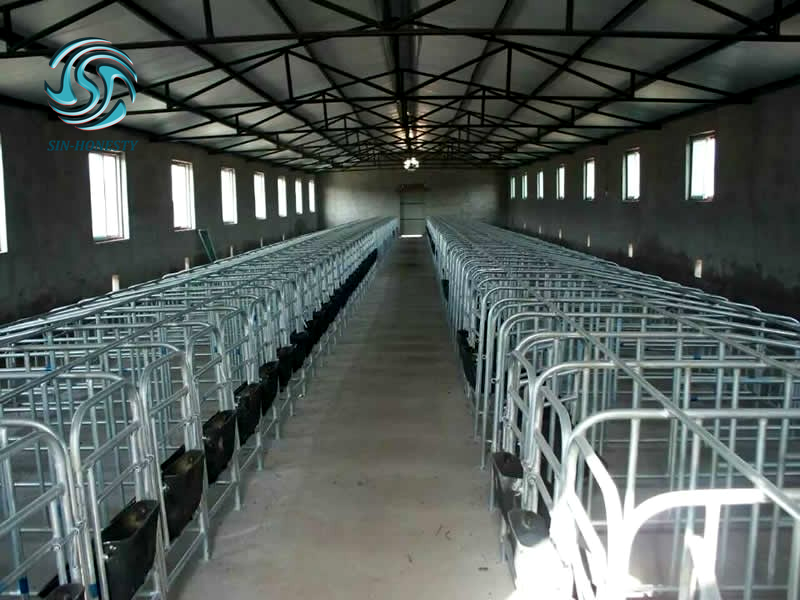 China Factory Pig Cage Pig Gestation Stalls