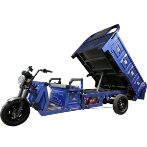 Electric Tricycle with Automatic Hydraulic Lifting System Powerful 1200W Big Tire Electric Cargo trike