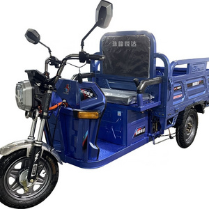 Electric Tricycles Adult Electric Trike Three Wheel Adult The Family 32A ISO 60V Motorcycles 125cc Cargo Triciclo 3 En 1 Open