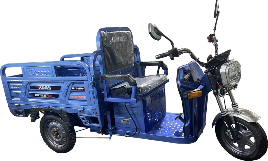 Electric Tricycle with Automatic Hydraulic Lifting System Powerful 1200W Big Tire Electric Cargo trike